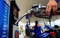 Năm 2022, giá xăng biến động như thế nào?