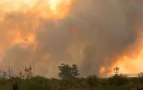Cháy rừng tại Argentina thiêu rụi 500.000 ha trong bối cảnh hạn hán