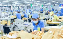 Bà Rịa - Vũng Tàu thiếu hàng nghìn lao động sau Tết