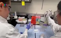 Canada phê duyệt vaccine của Novavax