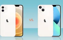 iPhone 12 và iPhone 13: Nên mua thiết bị nào?