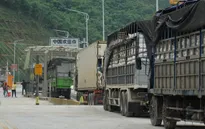 Cửa khẩu Hữu Nghị, Tân Thanh thông quan trở lại