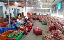 Xuất khẩu nông sản hanh thông đầu năm