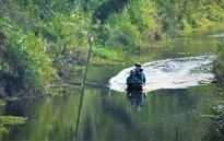 Gần 9.000 ha rừng ở Cà Mau có nguy cơ cháy