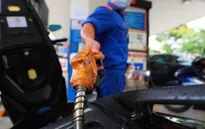 Giảm thuế để hạ giá xăng dầu: Cần được điều chỉnh ở mức hợp lý