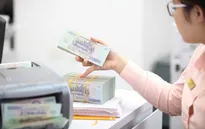 Gói hỗ trợ lãi suất 2% mới giải ngân cho gần 550 khách hàng