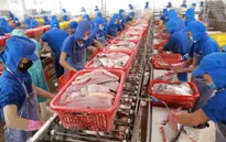 Tiêu chuẩn hàng thủy sản khi xuất khẩu vào thị trường Mỹ
