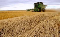 Ngành nông nghiệp châu Âu lao đao vì xung đột tại Ukraine