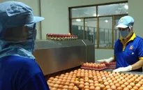 Doanh nghiệp thận trọng điều chỉnh giá hàng hóa