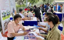 Thị trường lao động, việc làm tại TP Hồ Chí Minh sôi động trở lại
