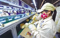 Tăng giờ làm thêm, doanh nghiệp ngừng tuyển lao động?