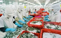 Quý I/2022, xuất siêu nông, lâm, thủy sản tăng gấp 3 lần