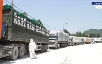 Phương thức giao nhận mới hỗ trợ thông quan hàng hóa