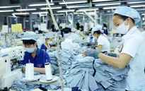 Thị trường lao động dần phục hồi