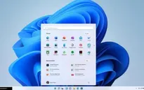 Windows 11 không phổ biến bằng Windows XP