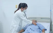 Cảnh báo nguy cơ rắn lục đuôi đỏ cắn người vào mùa mưa