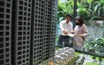 Giá nhà đất tăng cao, thu nhập của người dân theo không kịp