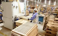 Hoa Kỳ nhận đơn đề nghị điều tra chống lẩn tránh thuế với tủ gỗ nhập khẩu từ Việt Nam