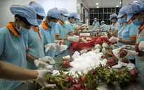 Nỗ lực mở rộng thị trường xuất khẩu nông sản