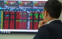 Hơn 800 mã giảm giá, VN-Index về gần 1.200 điểm