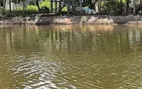 Bắt khẩn cấp người vợ giết chồng rồi giấu thi thể dưới ao