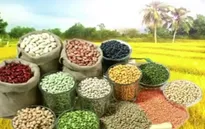 Liên Hợp Quốc họp cấp Bộ trưởng về an ninh lương thực toàn cầu
