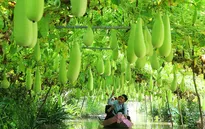 Phát triển du lịch nông thôn: Còn nhiều việc phải làm