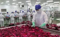 Nông sản Việt rộng đường xuất khẩu