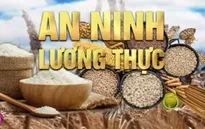 An ninh lương thực - câu chuyện quốc tế nóng tuần qua