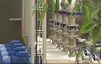 Biến chất thải thành năng lượng tái tạo