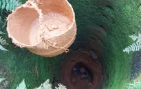 Nghệ An: Hàng trăm hộ dân gặp khó khăn do thiếu nước sinh hoạt