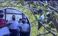 Singapore nỗ lực bảo tồn đa dạng sinh học