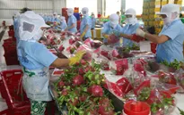 Xuất khẩu nông sản 4 tháng đạt gần 18 tỷ USD