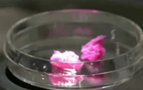Thịt nhân tạo - giải pháp giảm phát thải CO2 trong nông nghiệp