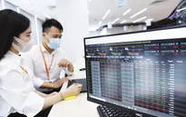 VN-Index đảo chiều bật tăng 12 điểm
