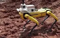 Singapore sử dụng robot thế chân người lao động