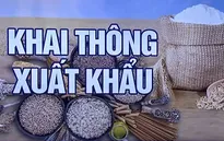 Xung đột Nga - Ukraine làm tê liệt hệ thống cảng biển, tình trạng thiếu lương thực có thể tồi tệ hơn