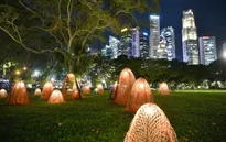 Lễ hội i Light Singapore trở lại sau hai năm với đom đóm điện tử và sứa ngoài hành tinh