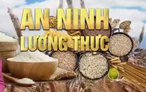 Mất an ninh lương thực đe dọa nhiều quốc gia Đông Nam Á