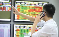 Có tân Chủ tịch, cổ phiếu "họ" FLC đồng loạt tăng trần