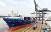 Chính phủ đề nghị TP Hồ Chí Minh xem xét điều chỉnh phí hạ tầng cảng biển trong tháng 7