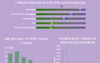 [INFOGRAPHIC] Bức tranh kinh tế Việt Nam 7 tháng năm 2022