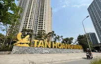 Nhà đầu tư "đỏ mắt" chờ Tân Hoàng Minh trả tiền, Bộ Tài chính nói gì?