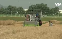 Hàn Quốc mở rộng tiếp nhận lao động nước ngoài