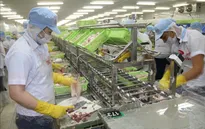 Thu hồi hơn 16.000 tỷ đồng nợ đọng thuế