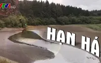47% lãnh thổ châu Âu đang trong tình trạng cảnh báo hạn hán