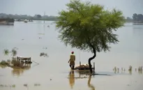 Pakistan ban bố tình trạng khẩn cấp do lũ lụt