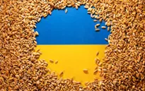 LHQ kêu gọi tiếp tục giải phóng các kho chứa ngũ cốc ở Ukraine