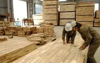 Hoa Kỳ gia hạn ban hành kết luận cuối cùng đối với gỗ dán từ Việt Nam