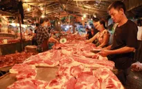 Giá lợn hơi giảm mạnh